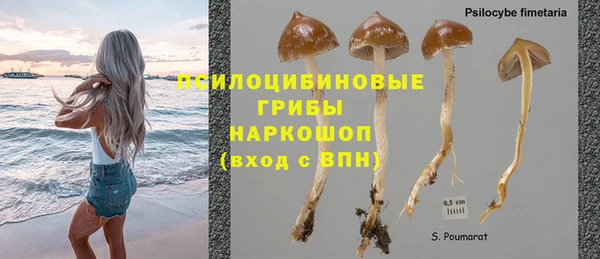 трава Ахтубинск
