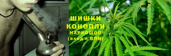 эйфоретик Новозыбков
