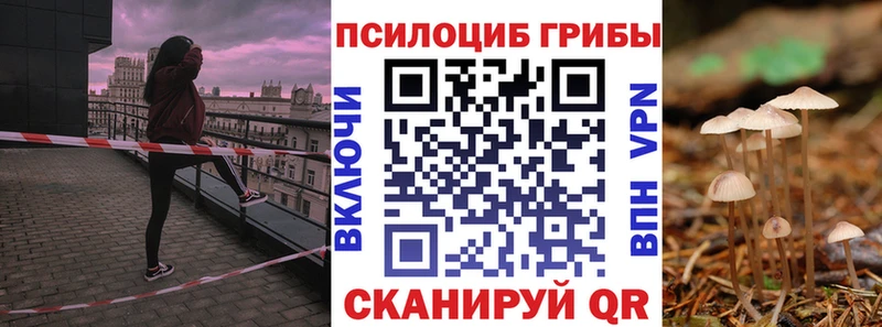 хочу   Камешково  Псилоцибиновые грибы прущие грибы 
